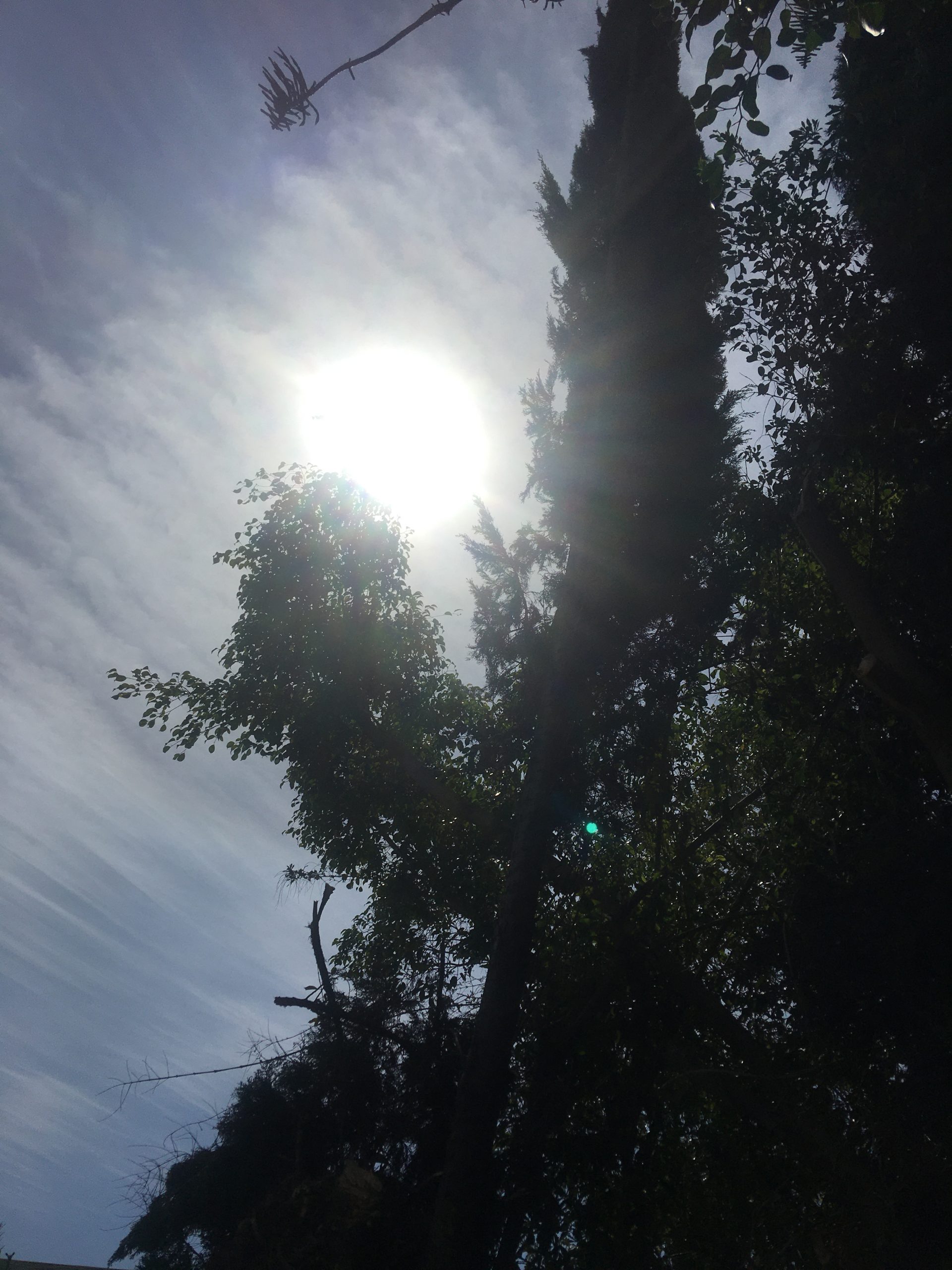 LA Angels Wednesday News Crash Indoor Rainout Crashing the Pearly Gates