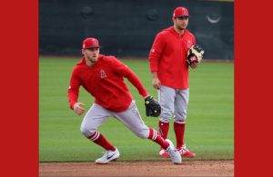 David Fletcher and Taylor Ward doing fielding drills at Spring Training
