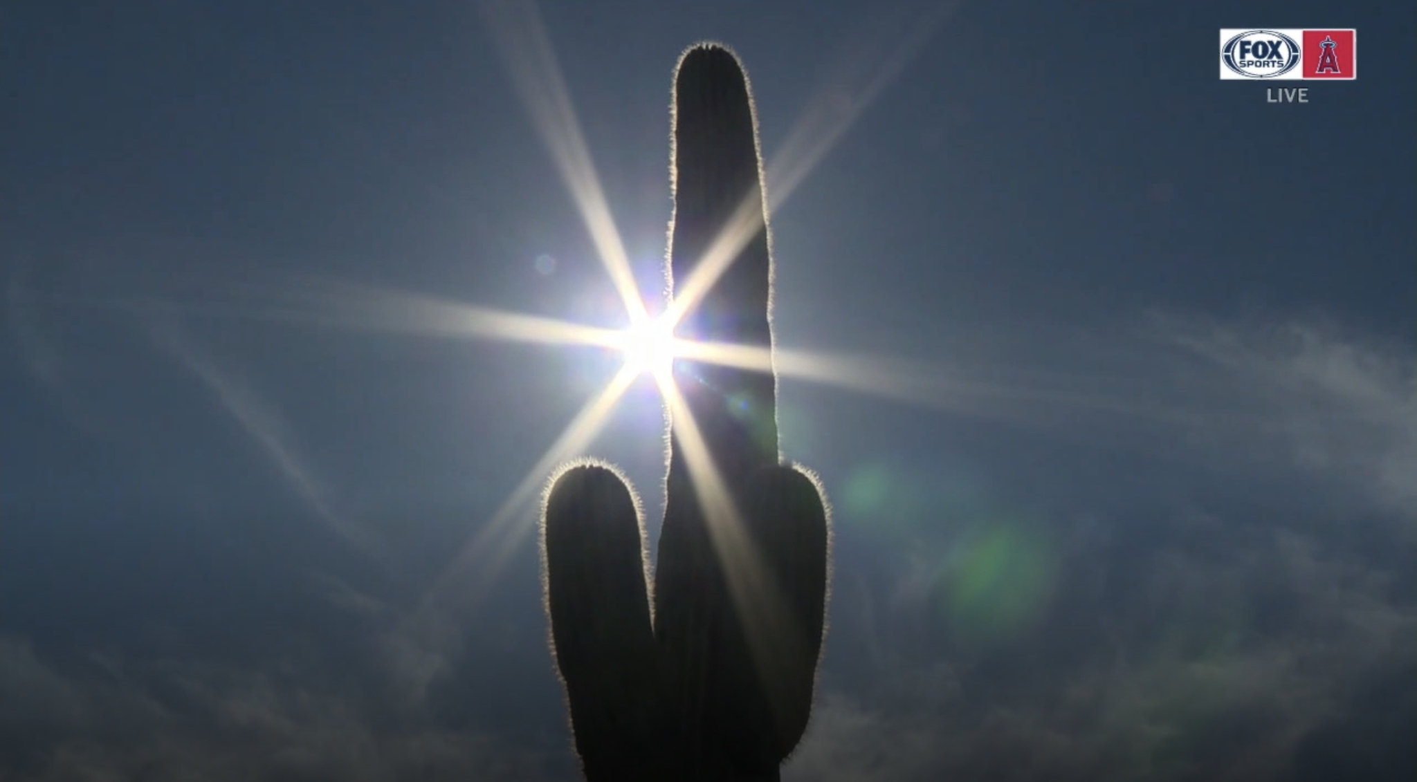 LA Angels Wednesday News Crash Opening Day Eve Crashing the Pearly Gates