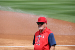 Joe Maddon